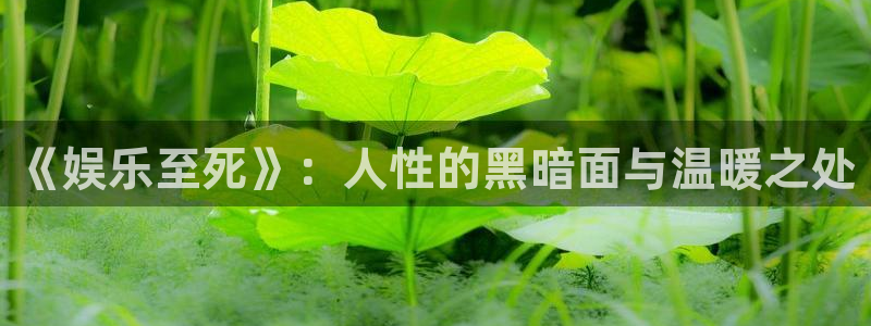 万向娱乐注册登录