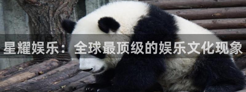 万向娱乐app