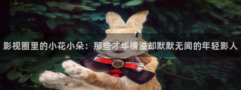 万向娱乐