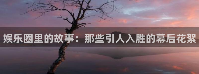 万向娱乐