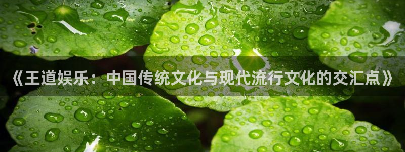 万向娱乐注册