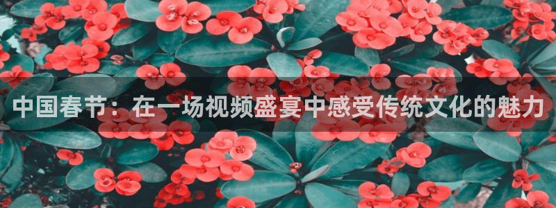 万向娱乐